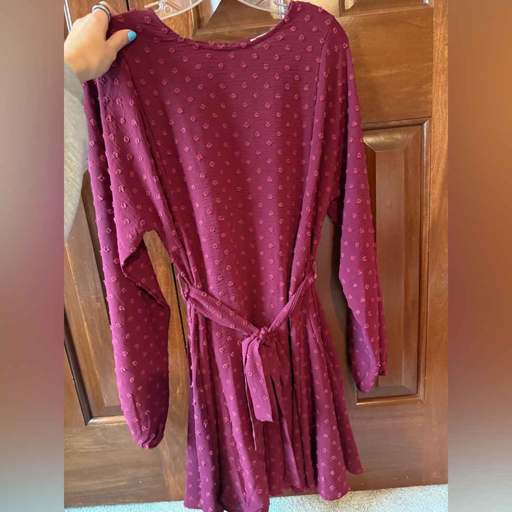 She + Sky Maroon Textured Dress